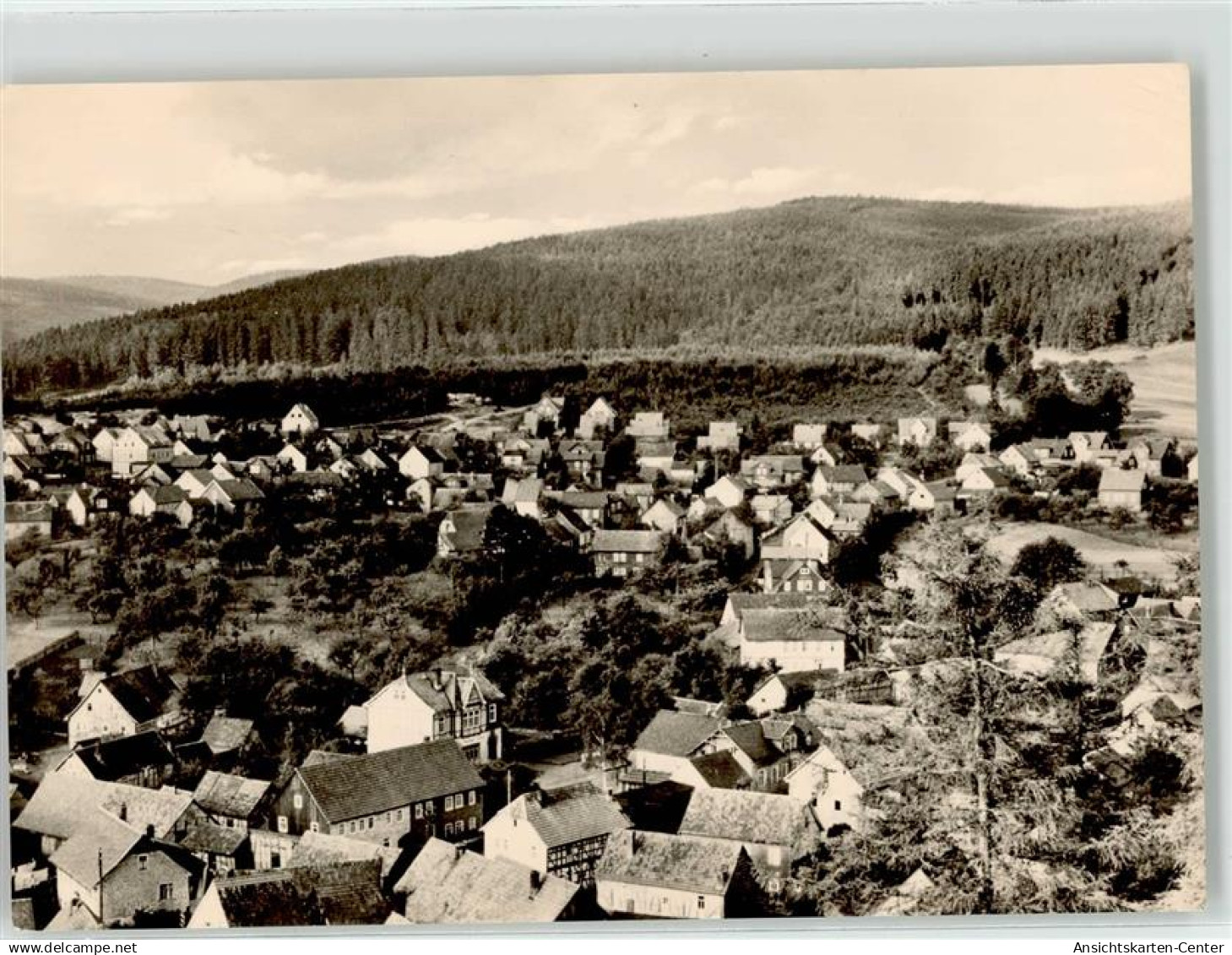 51889015 - Frankenhain , Thuer