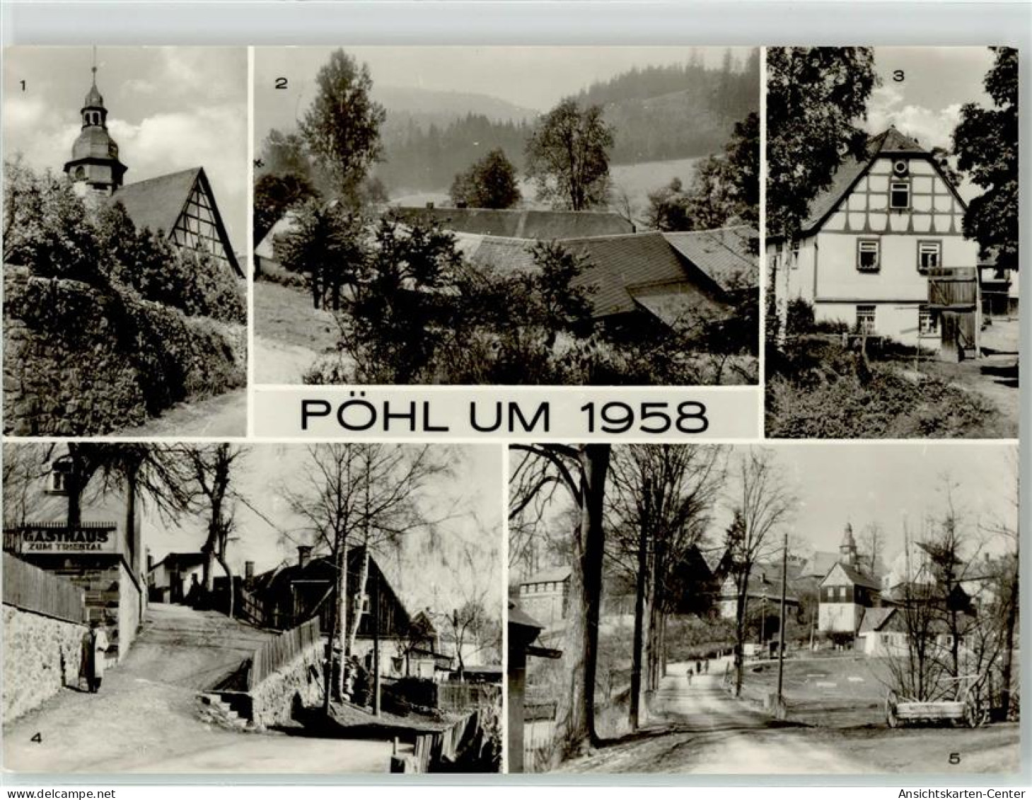 51889317 - Poehl im Vogtland