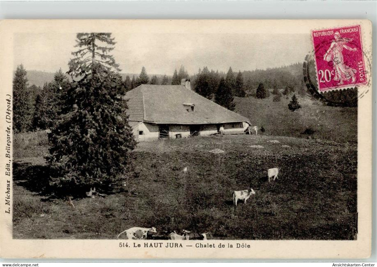 51891556 - Bellegarde-sur-Valserine