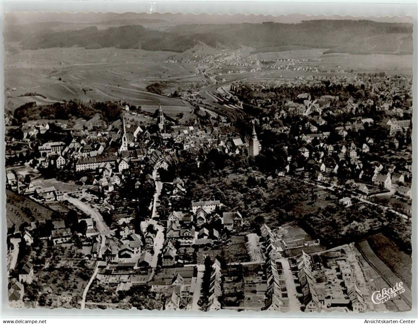 51916905 - Rottweil