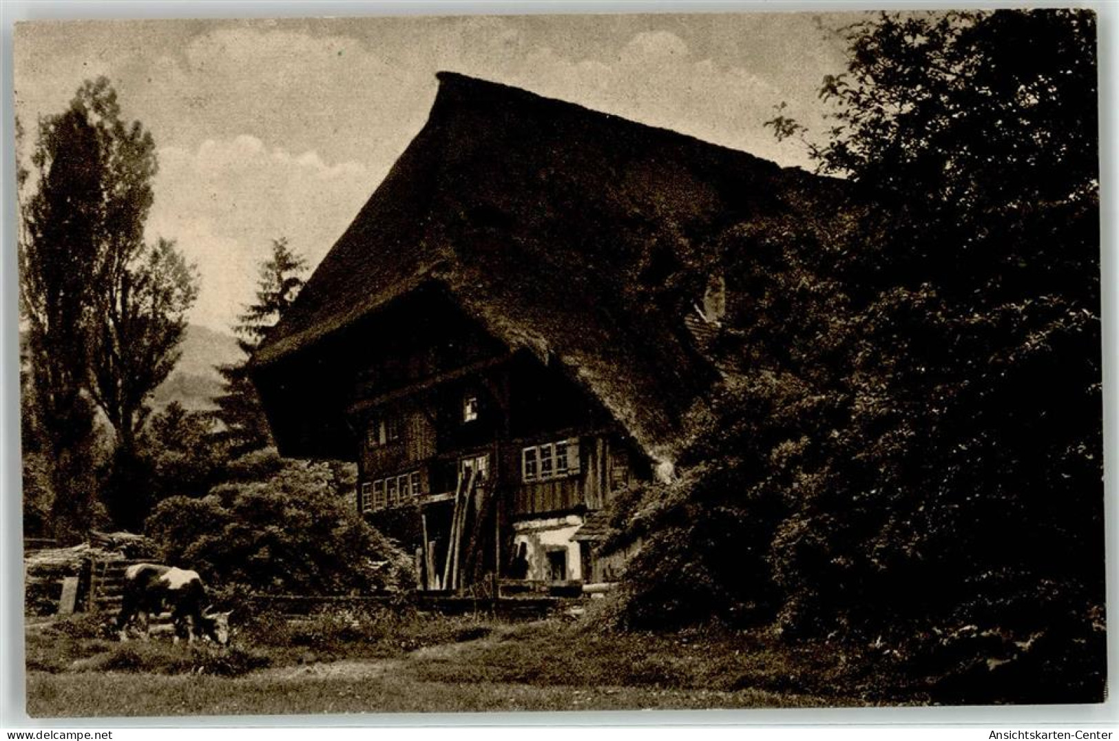 51923636 - Gutach Schwarzwaldbahn