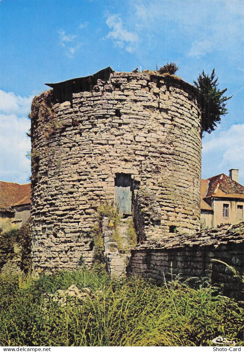 52 CHATEAUVILLAIN LA TOUR CHATEAUVILLAIN