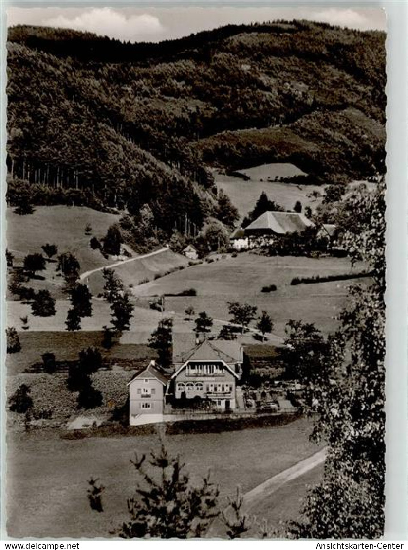 52008134 - Gutach Schwarzwaldbahn