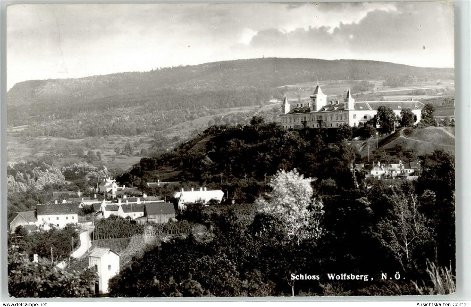 52009908 - Wolfsberg