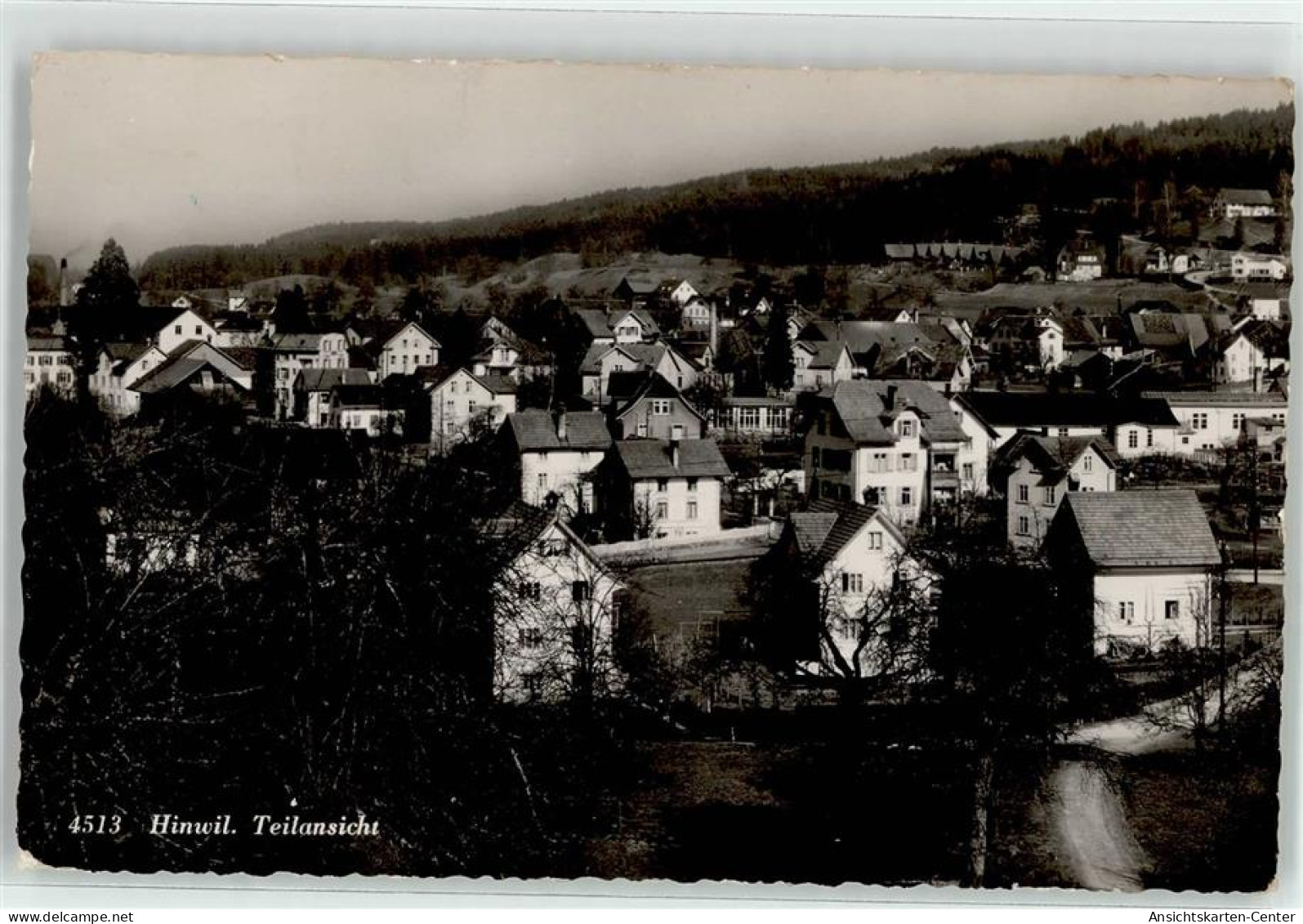 52017274 - Hinwil