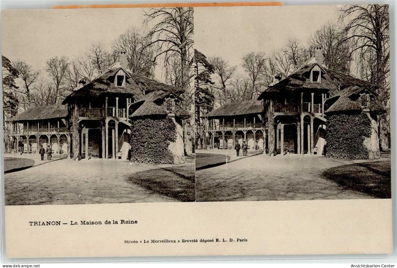 52021819 - Versailles