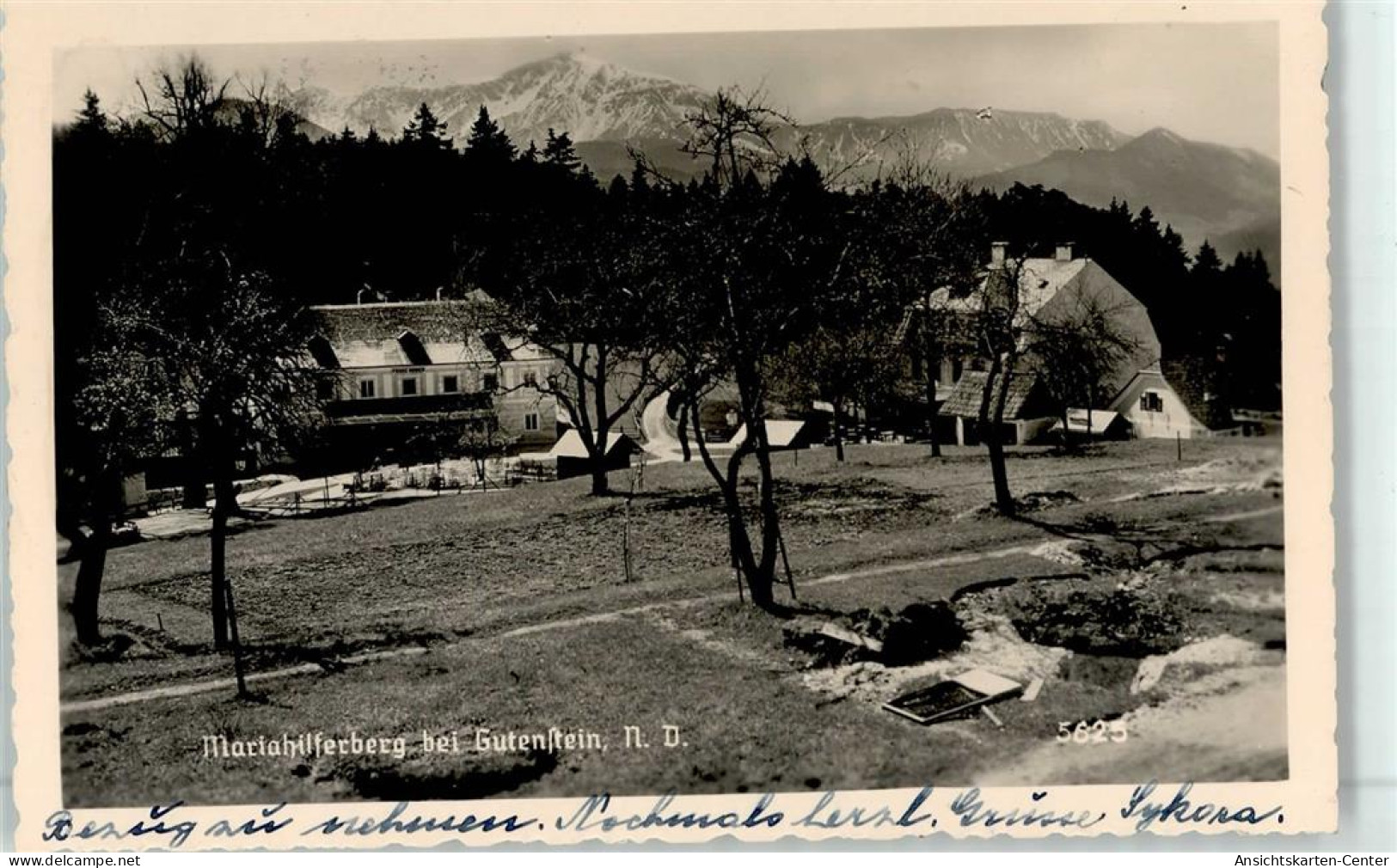 52023349 - Gutenstein