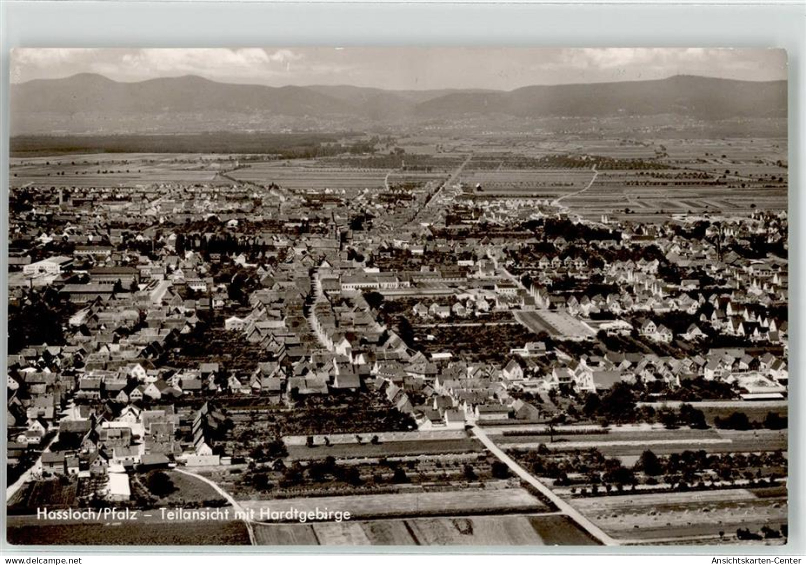 52026781 - Hassloch , Pfalz