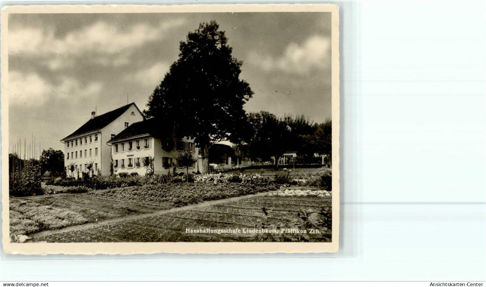 52039295 - Pfaeffikon ZH