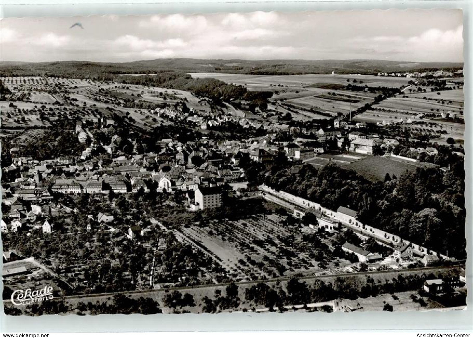 52040570 - Kirchheimbolanden