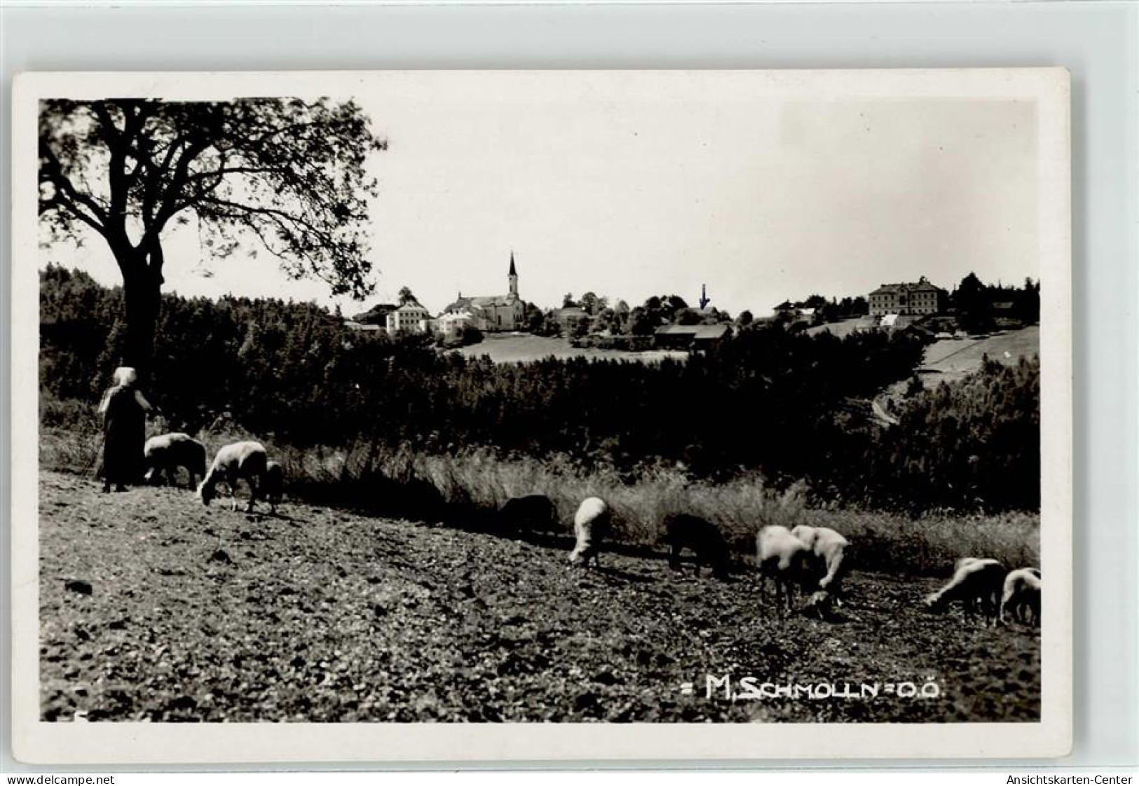 52042149 - Maria Schmolln