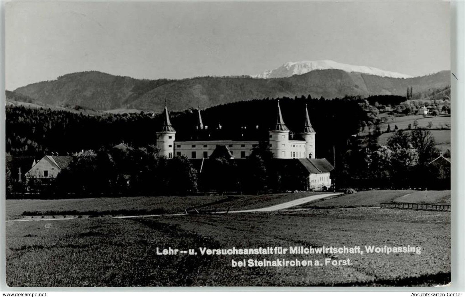 52042324 - Steinakirchen am Forst