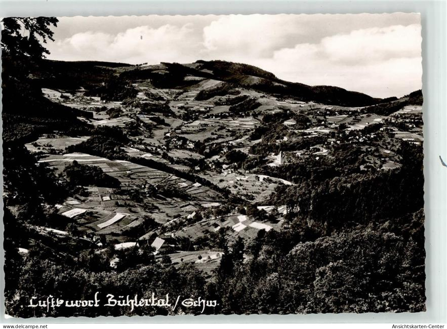 52053408 - Buehlertal