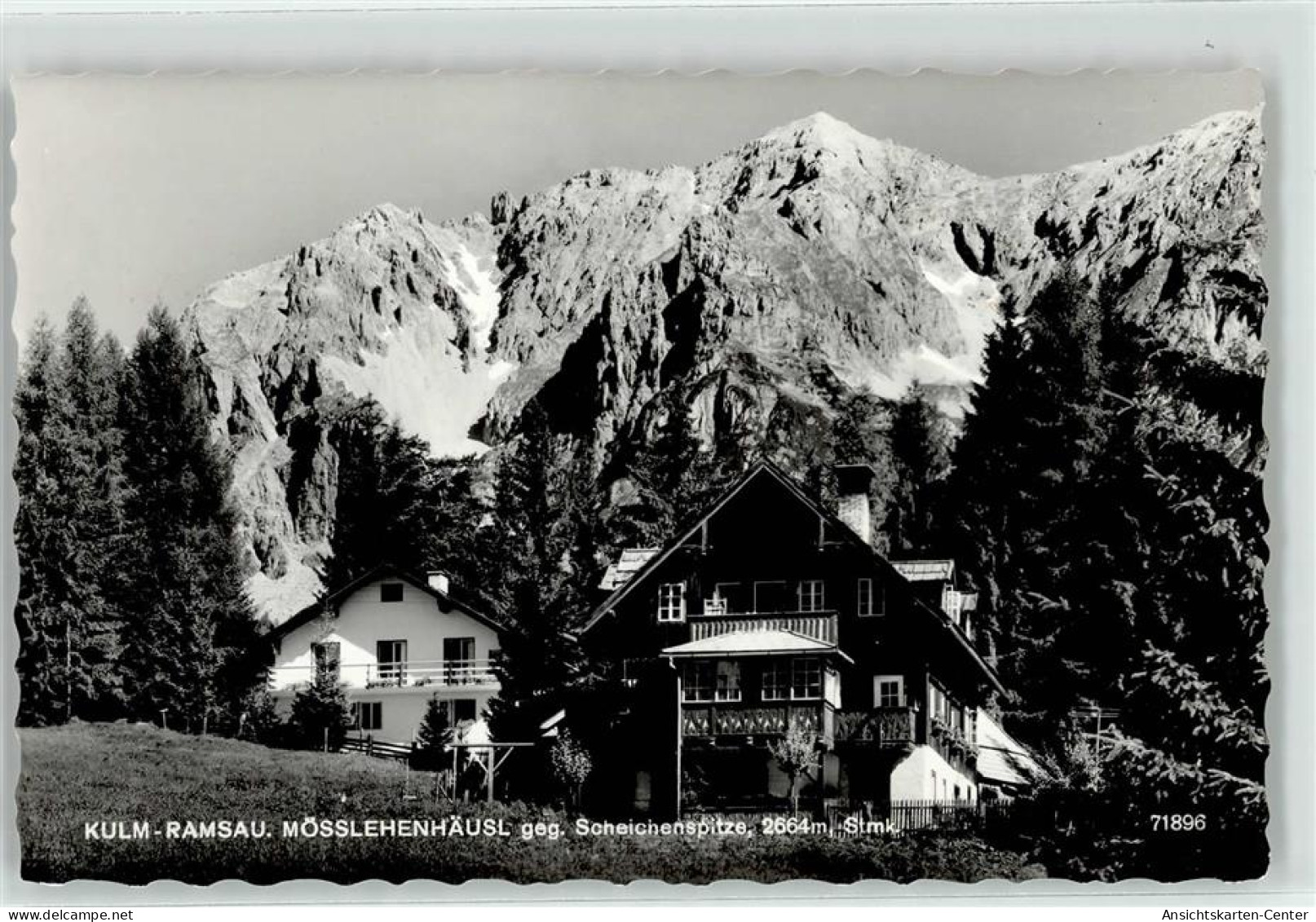 52059776 - Ramsau am Dachstein