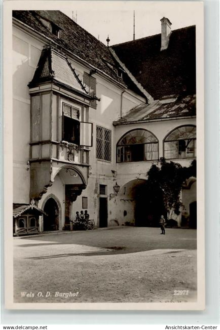 52062934 - Wels