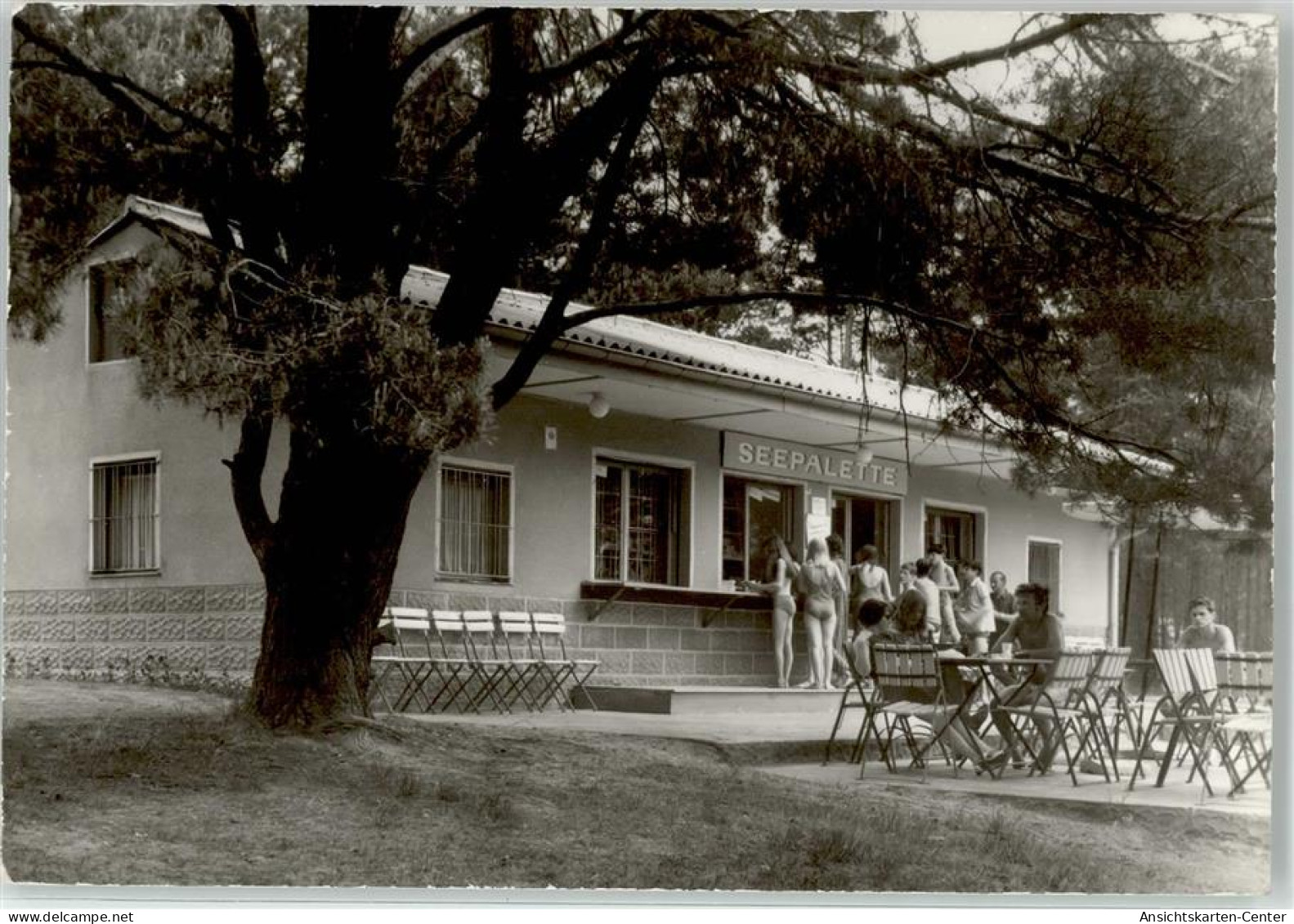 52072978 - Dobbrikow