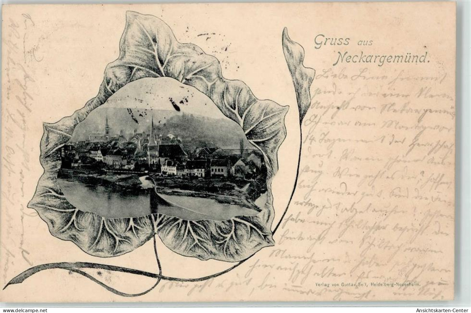 52089482 - Neckargemuend