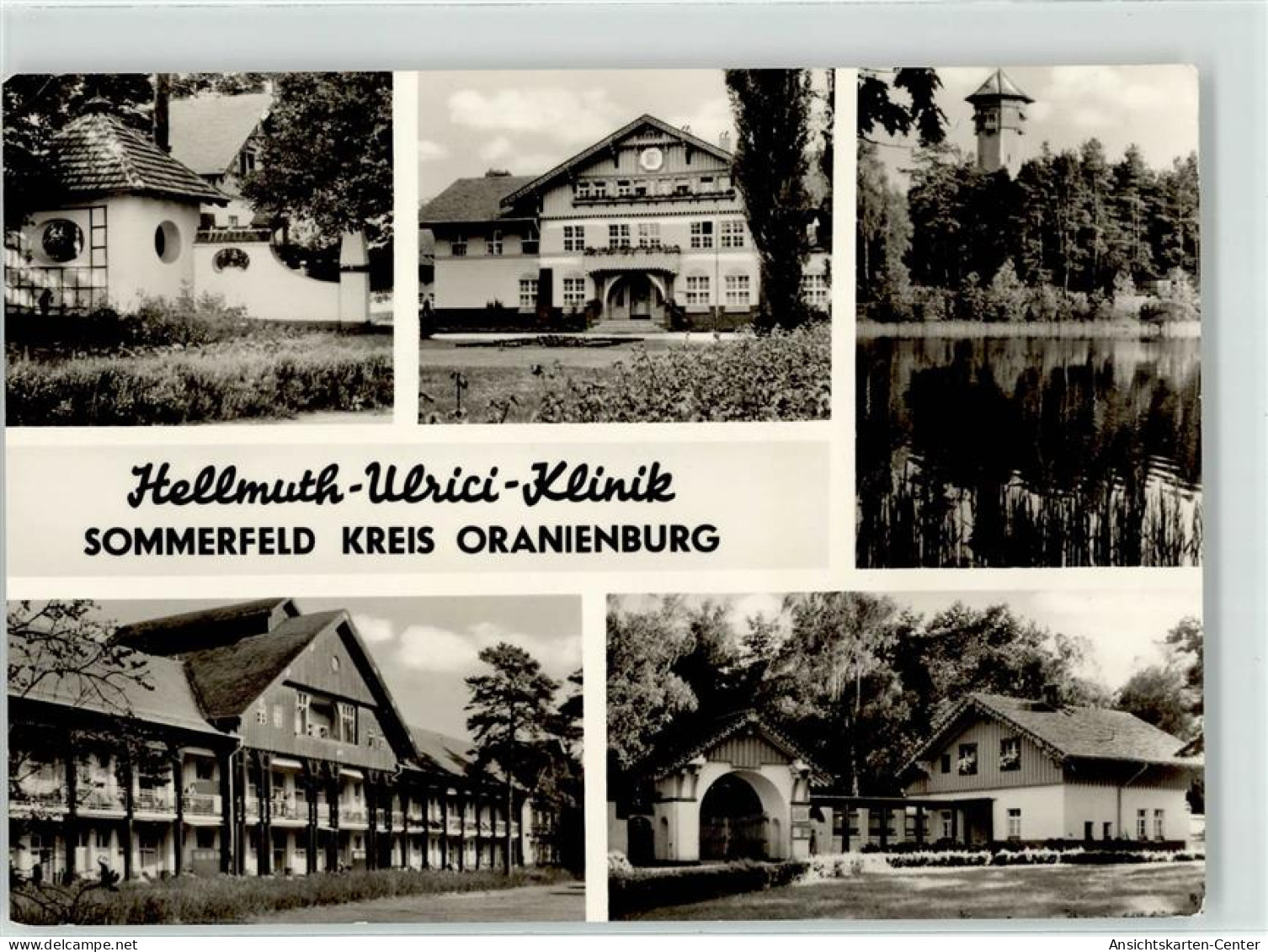 52092780 - Sommerfeld b Velten