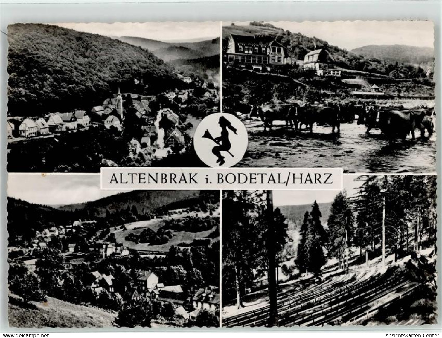 52093528 - Altenbrak