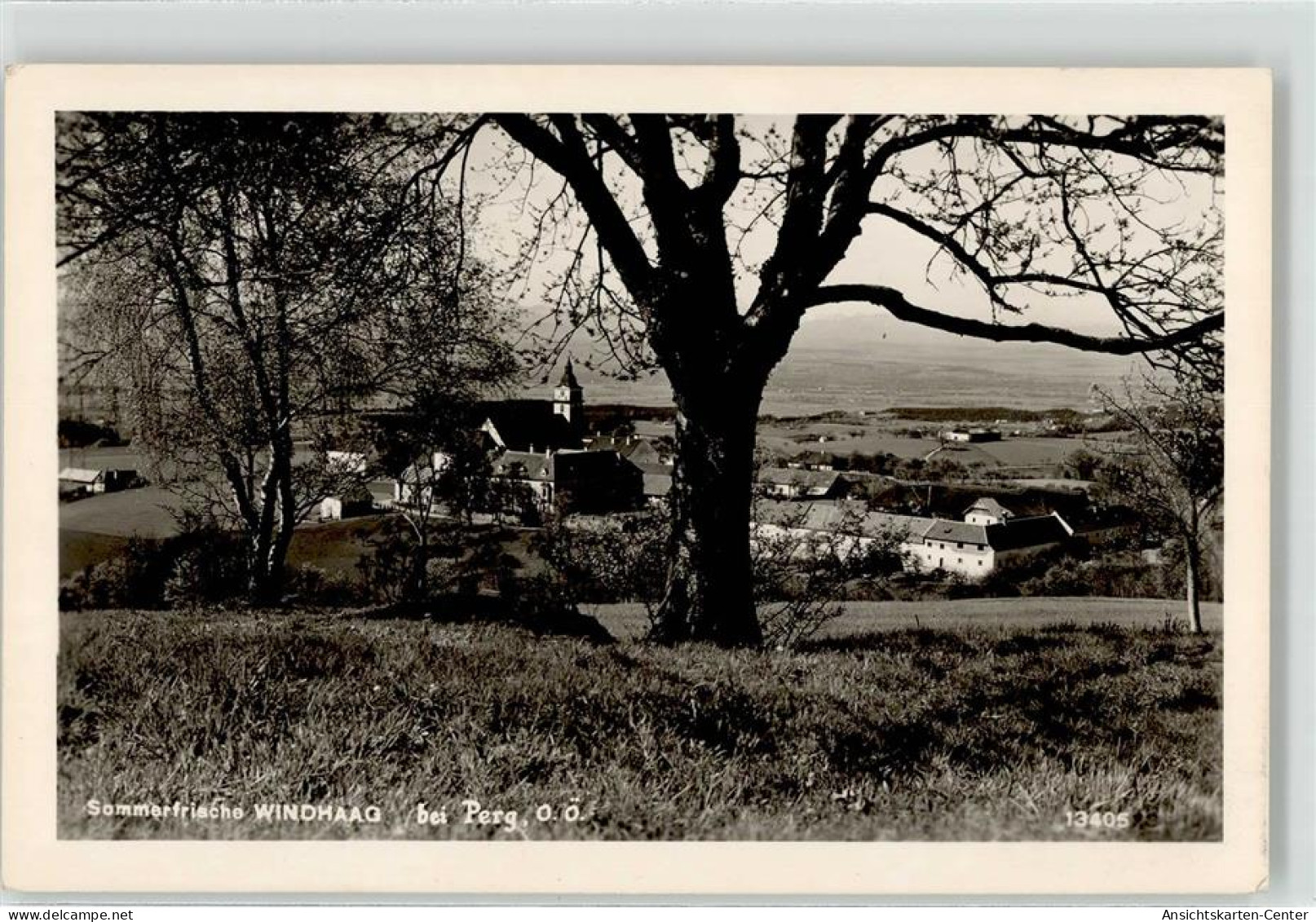 52097566 - Windhaag bei Perg
