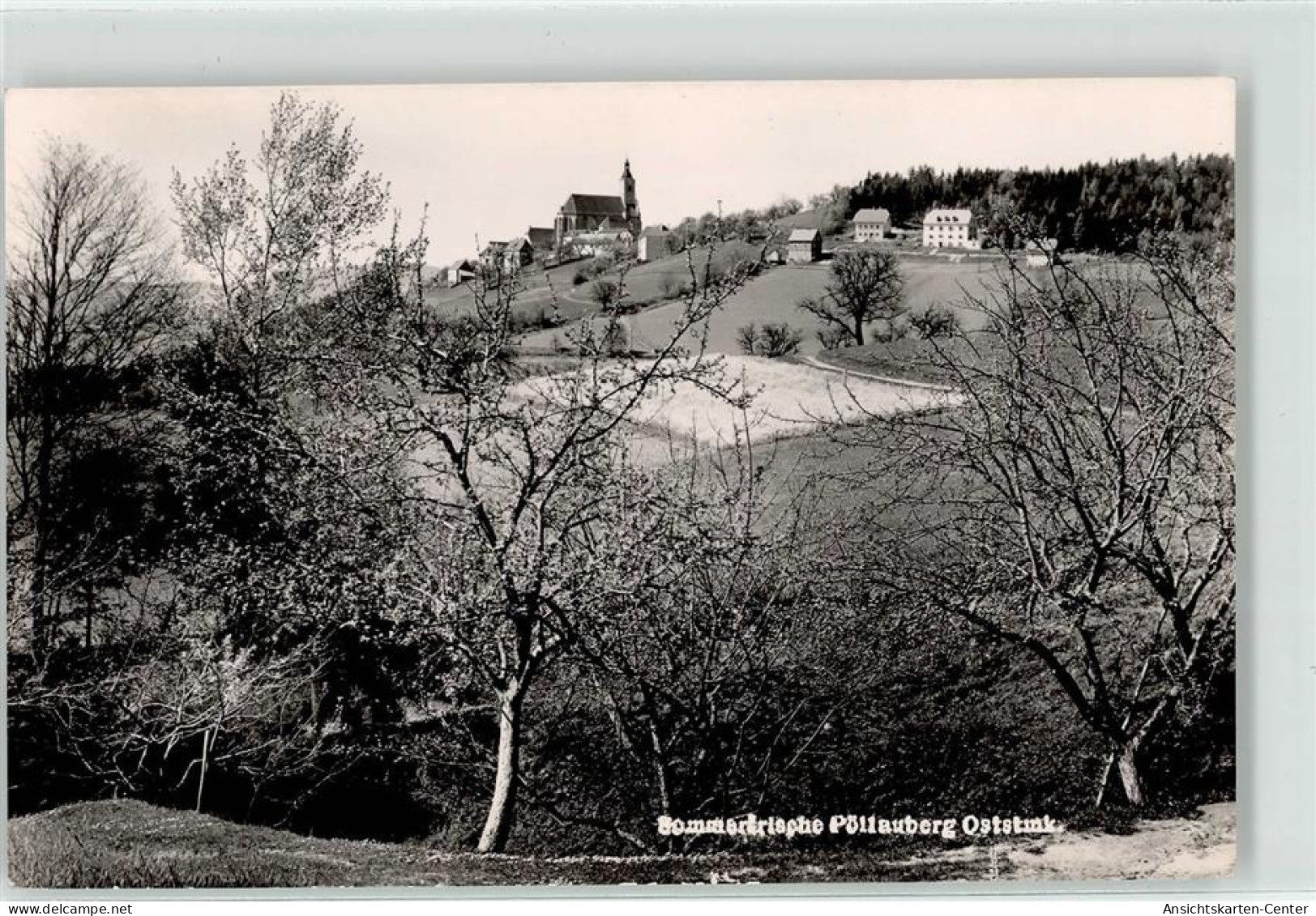 52097947 - Zeil-Poellau