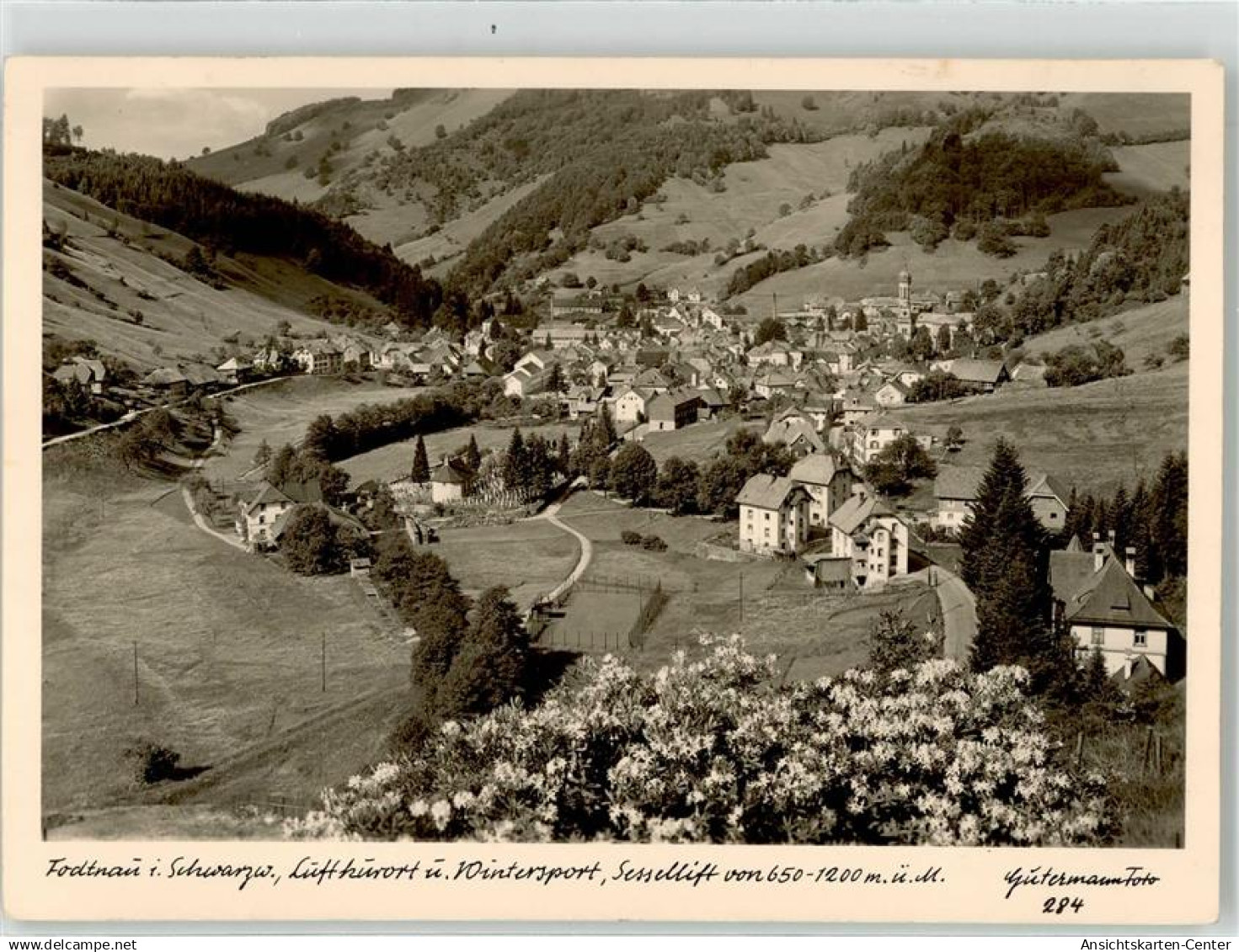 52103997 - Todtnau