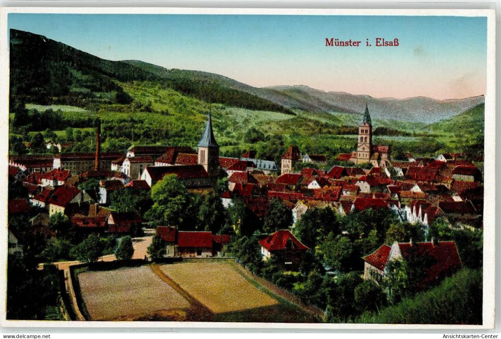 52112168 - Munster Muenster