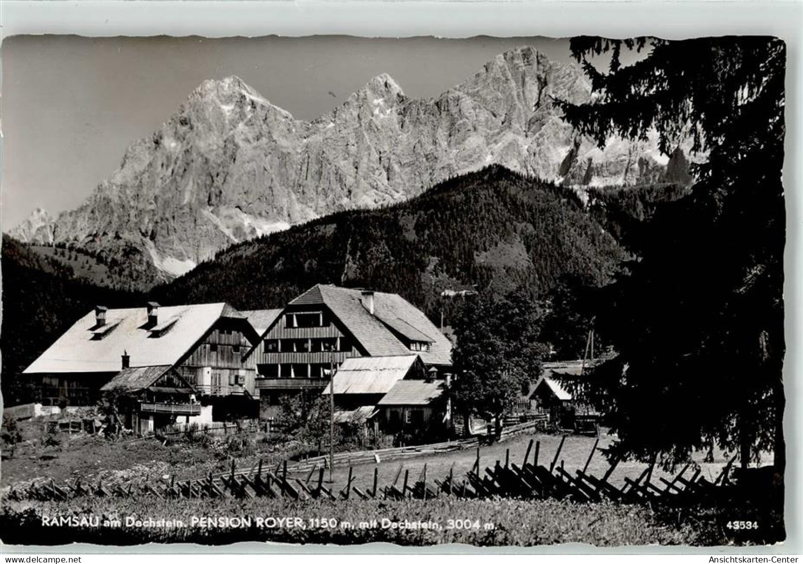 52122510 - Ramsau am Dachstein