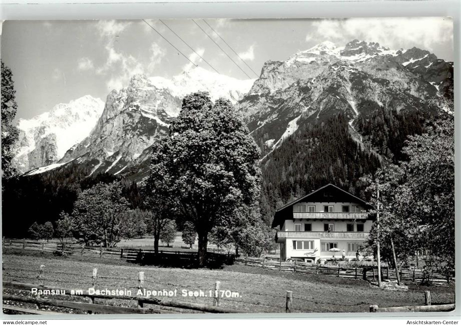 52122563 - Ramsau am Dachstein