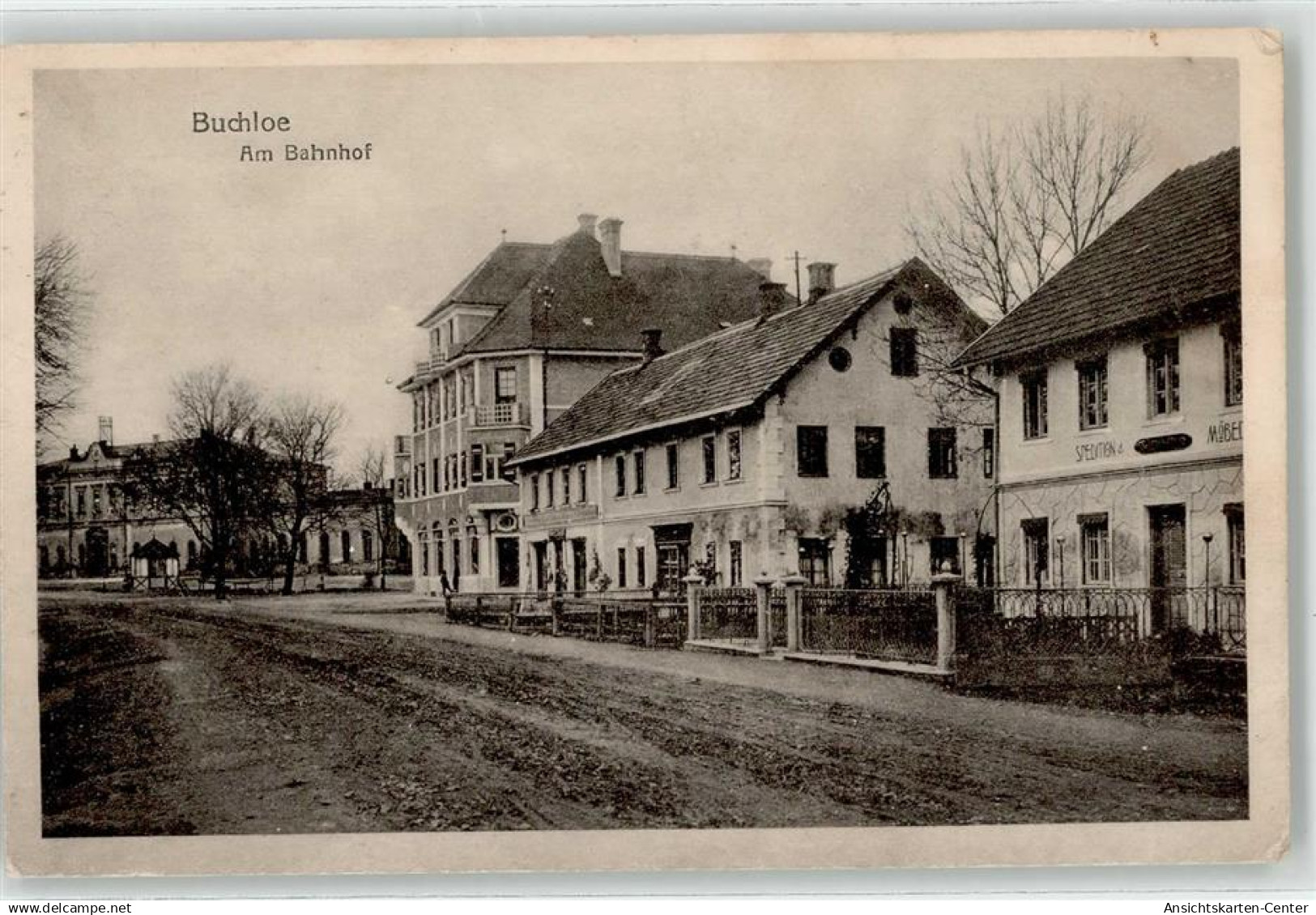 52123875 - Buchloe