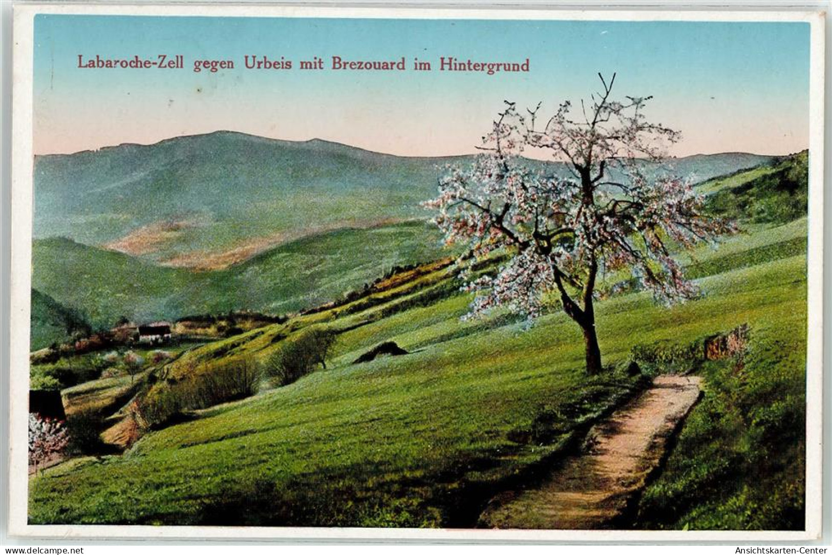 52131720 - Orbey Urbeis