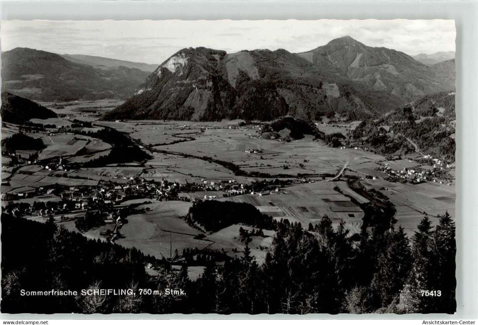 52138987 - Scheifling