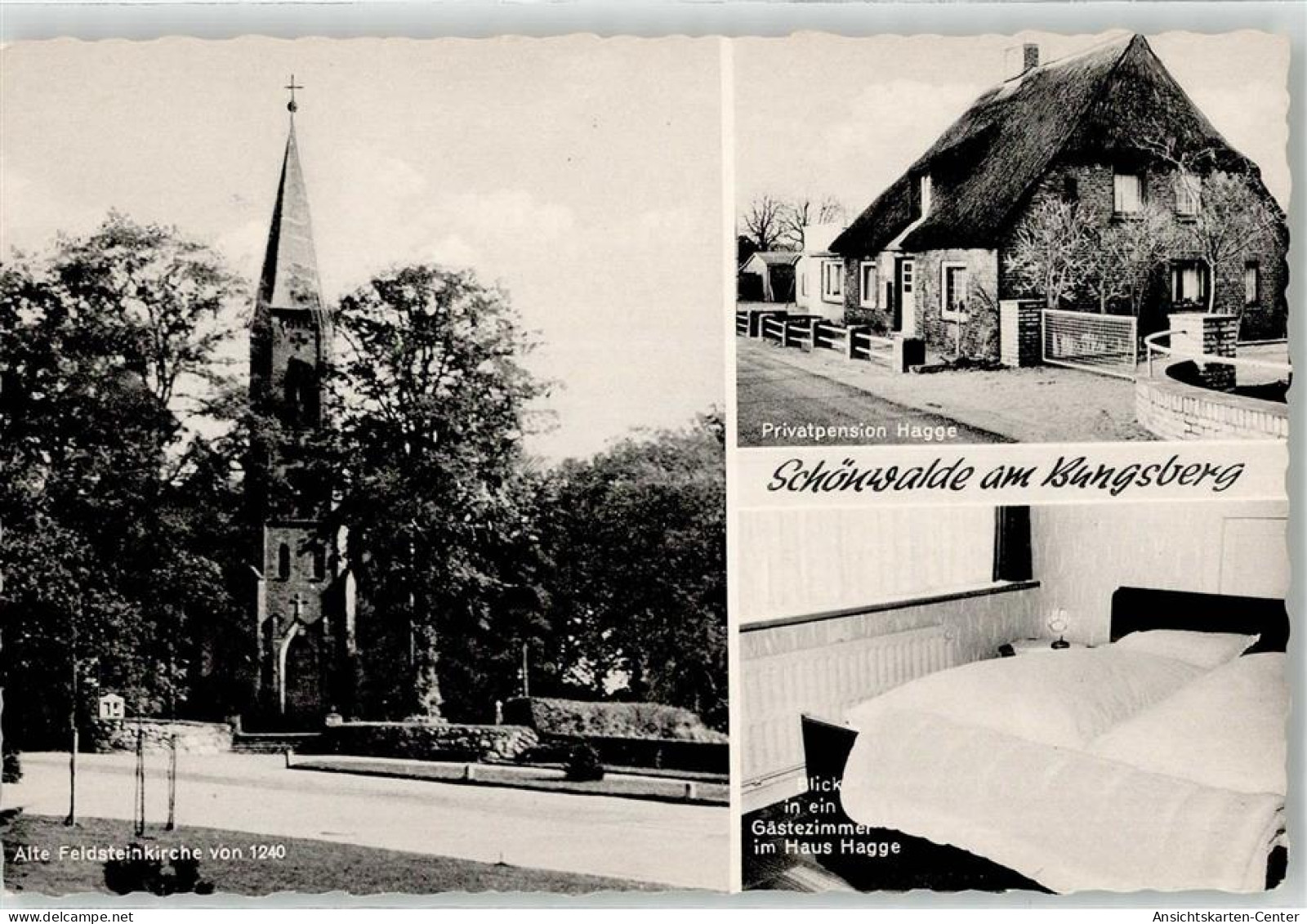 52151902 - Schoenwalde am Bungsberg