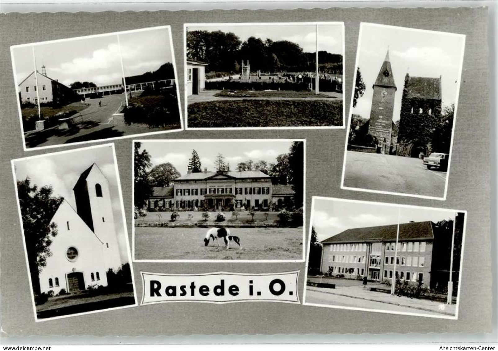 52151917 - Rastede