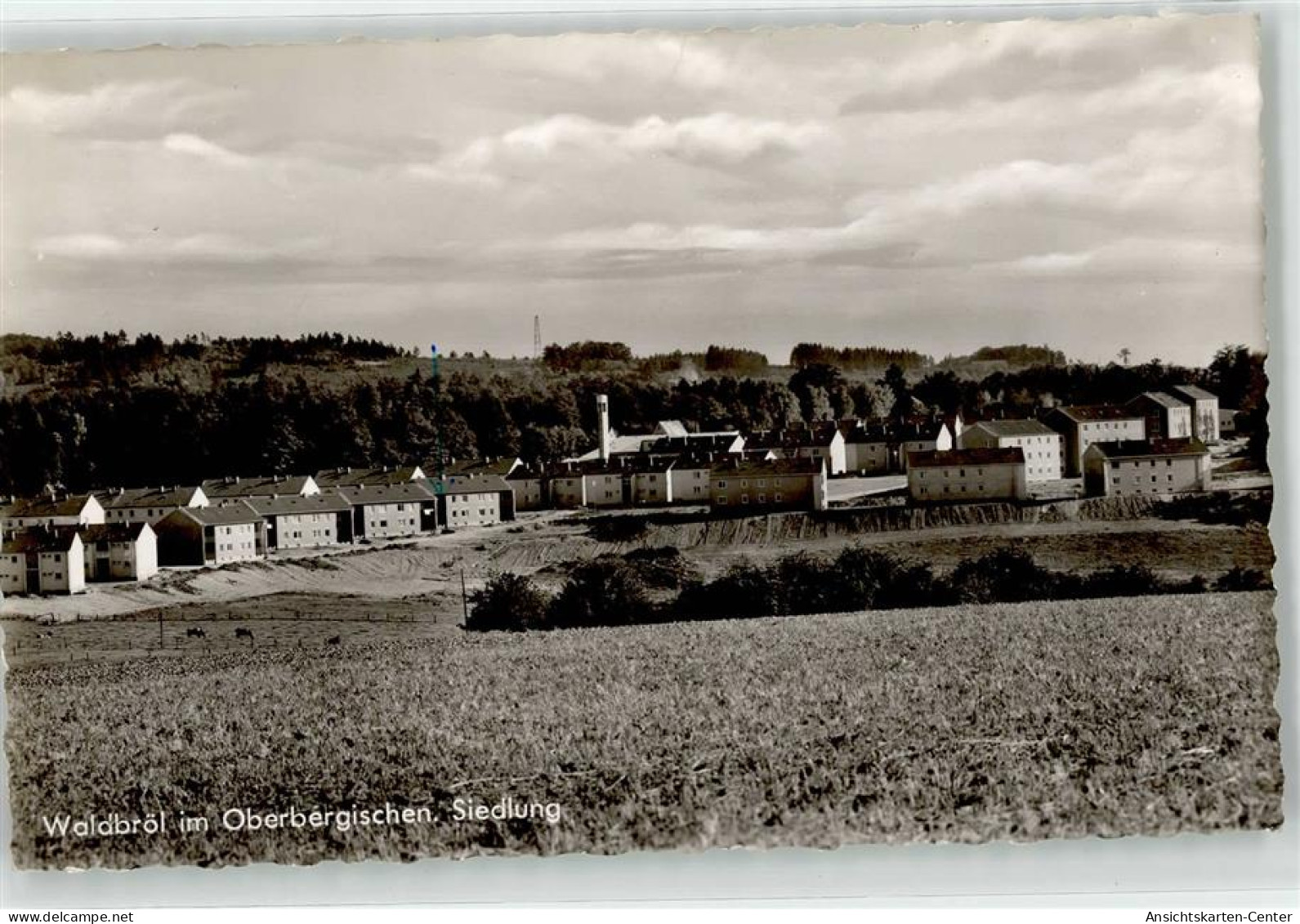 52152568 - Waldbroel