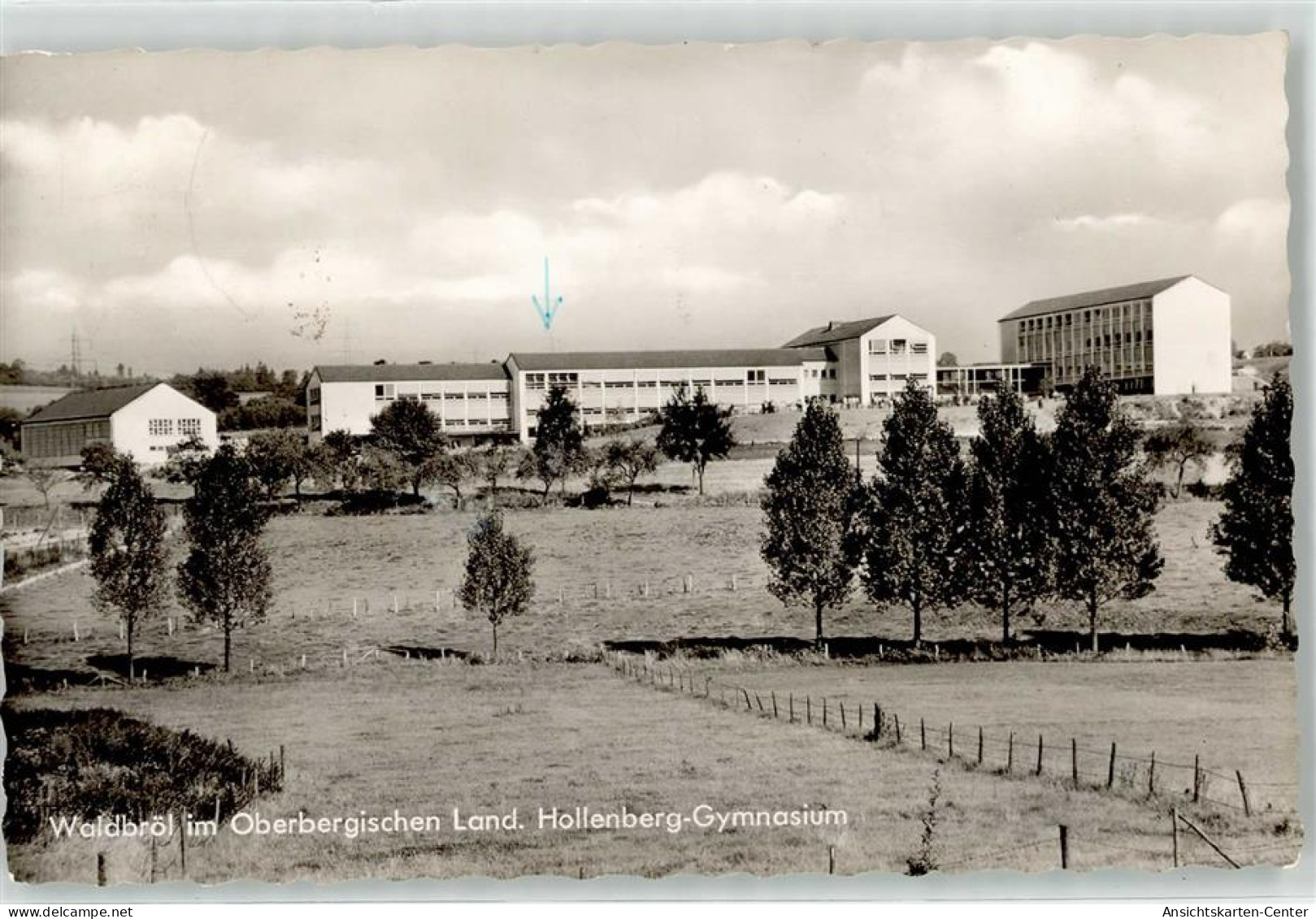 52152975 - Waldbroel