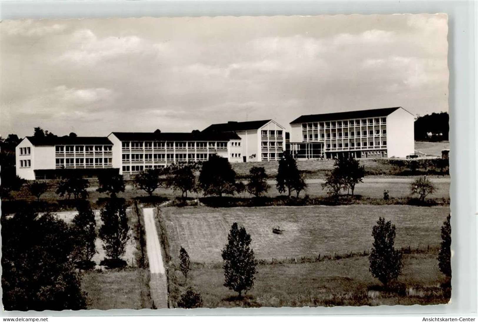 52152976 - Waldbroel