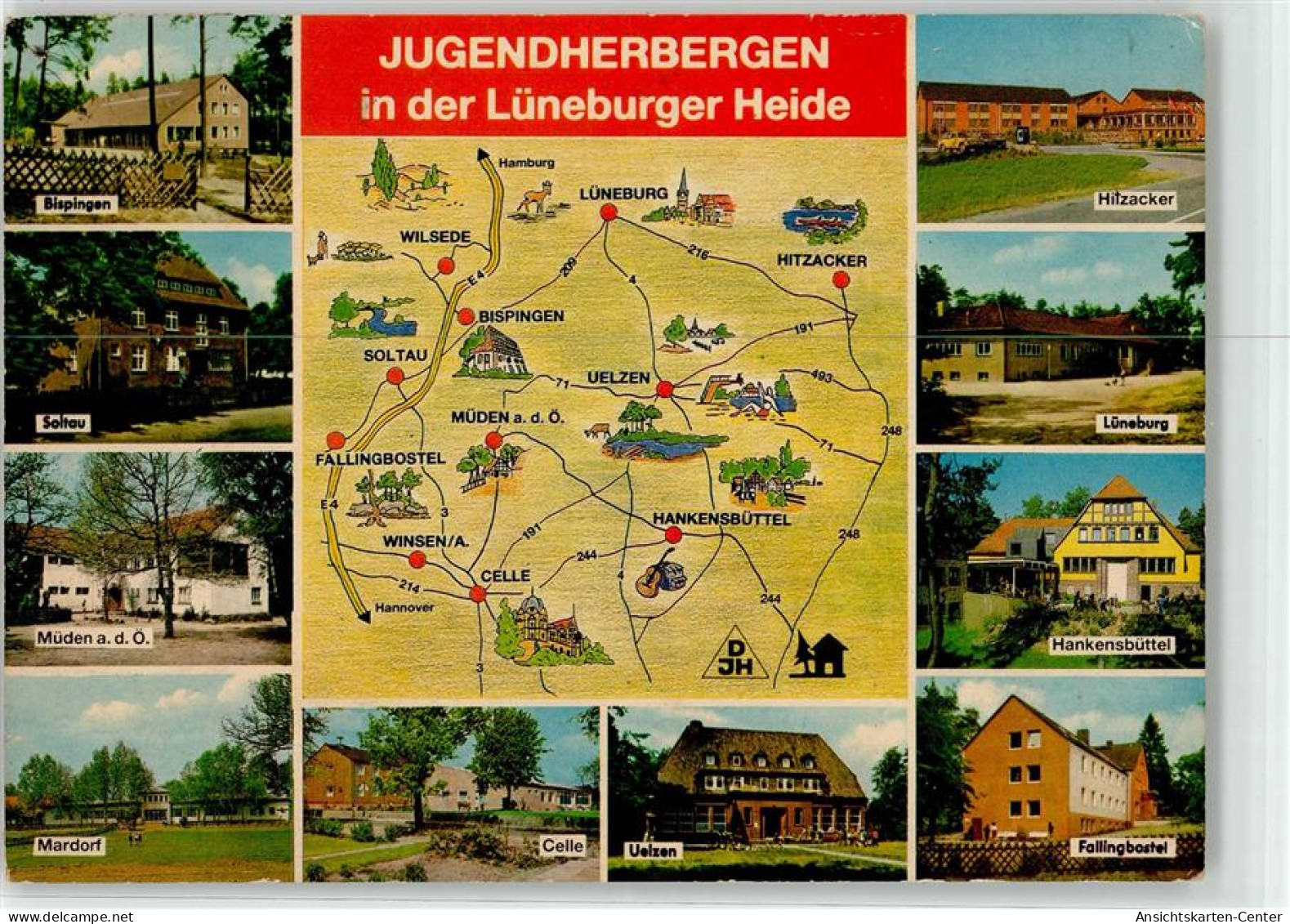 52153331 - Uelzen , Lueneburger Heide