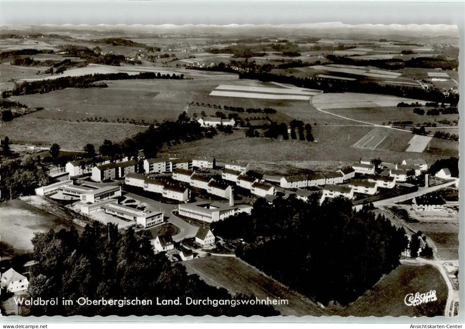 52159028 - Waldbroel