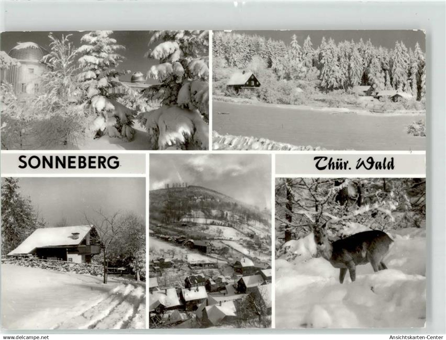 52161345 - Sonneberg , Thuer