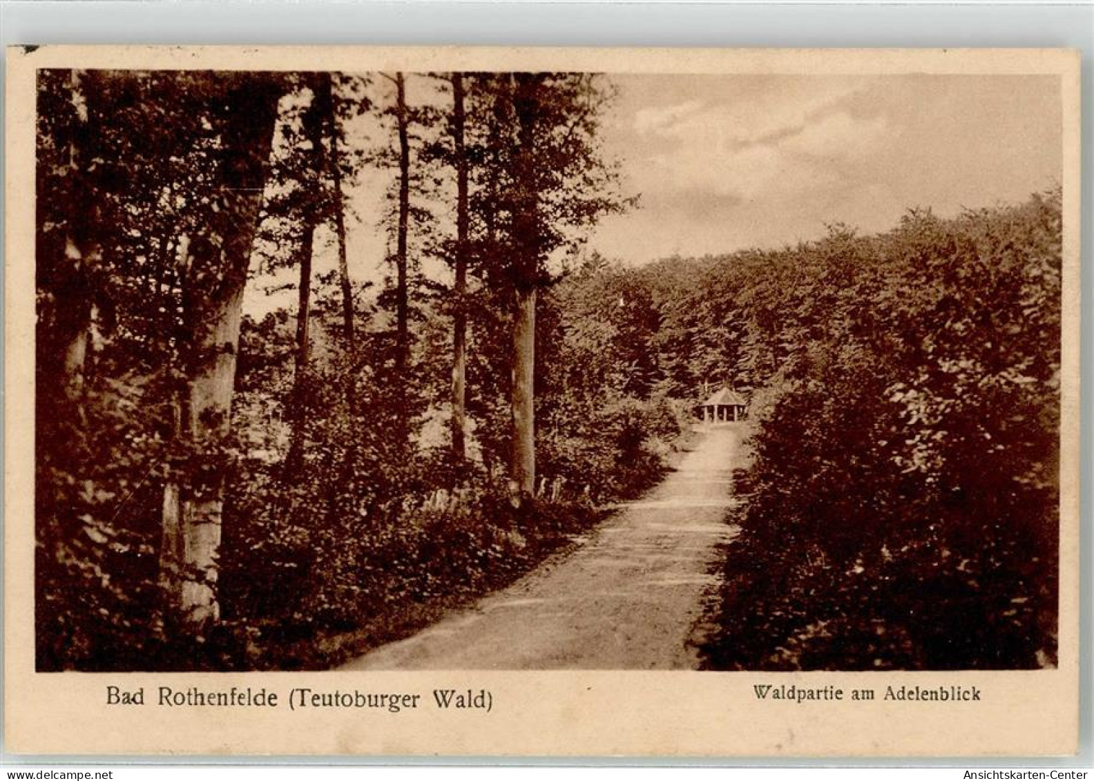 52181560 - Bad Rothenfelde