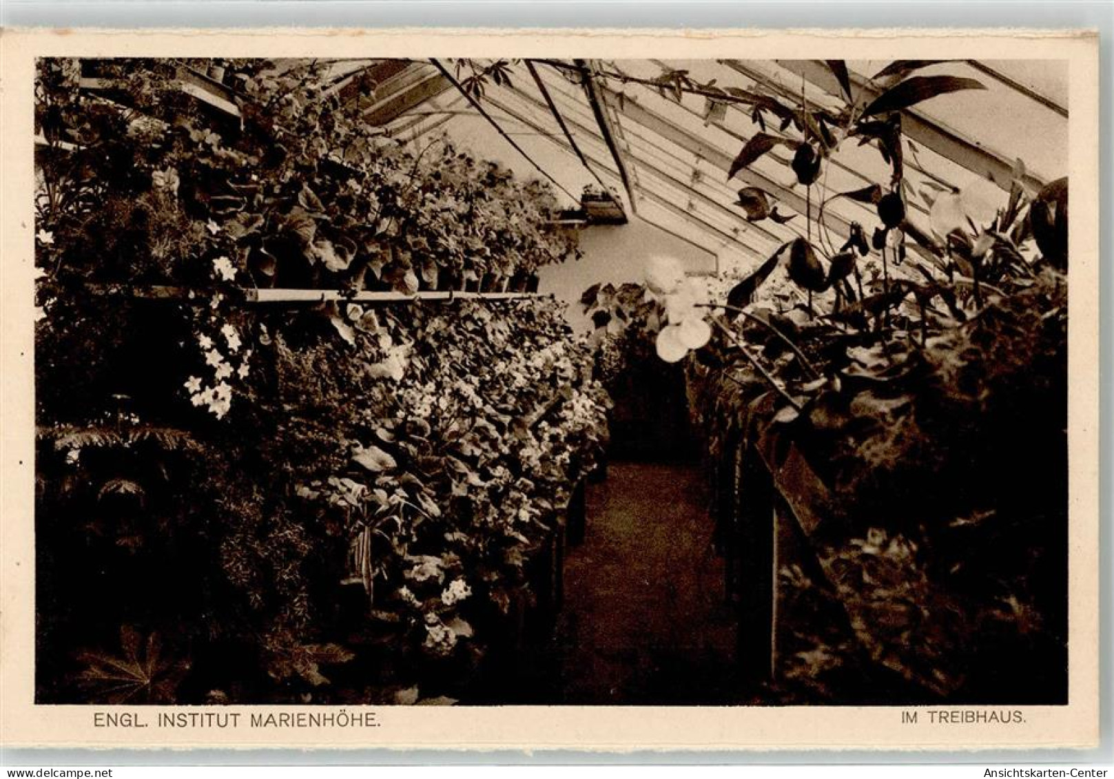 52190960 - Simbach a. Inn