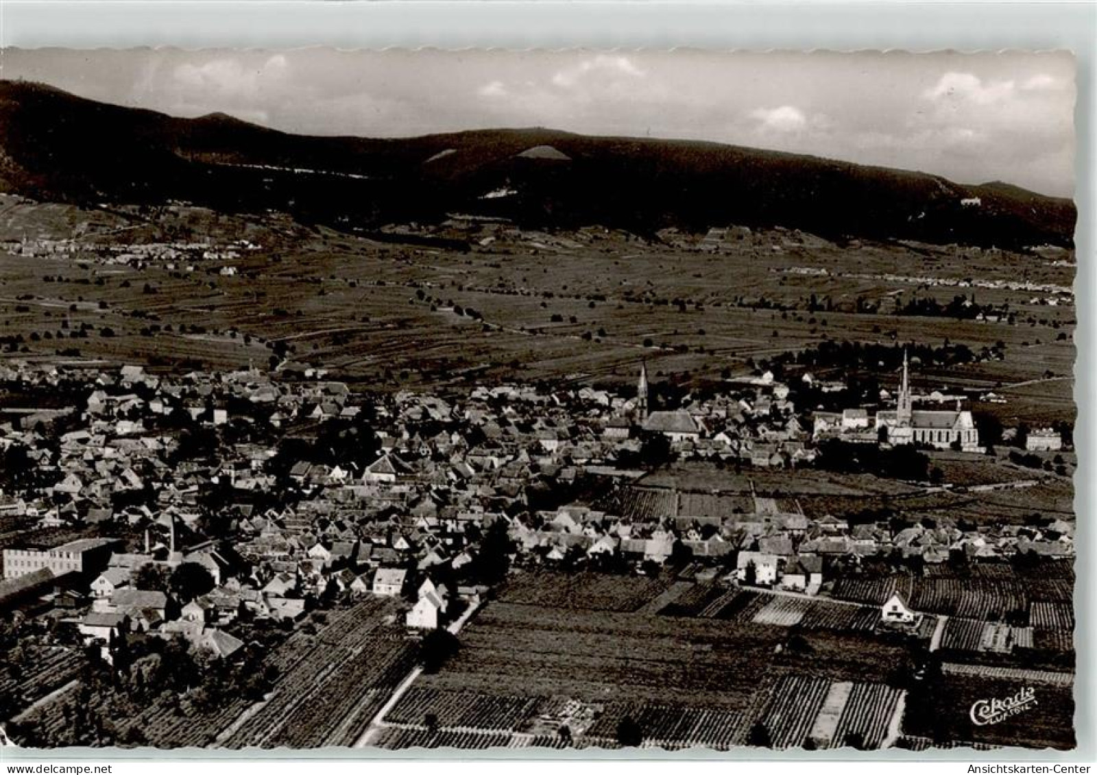 52195111 - Edenkoben