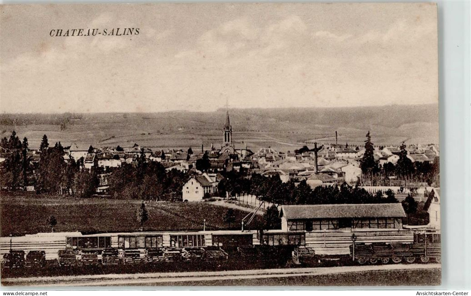 52201374 - Chateau-Salins