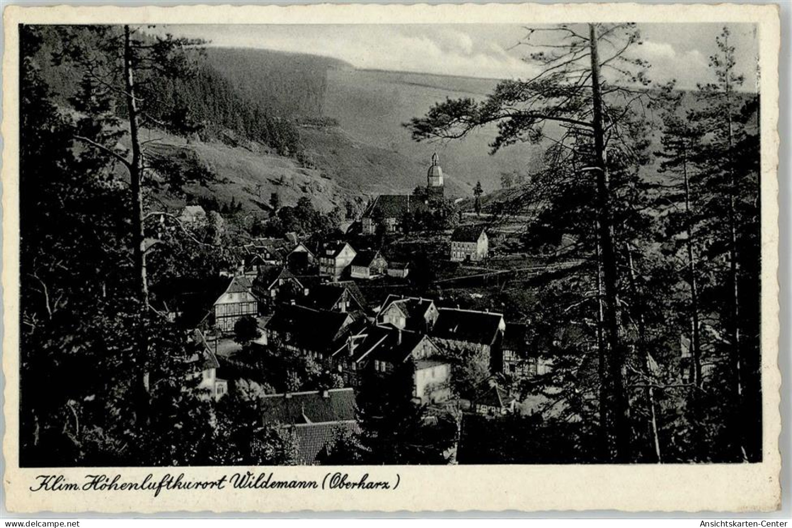 52249112 - Wildemann