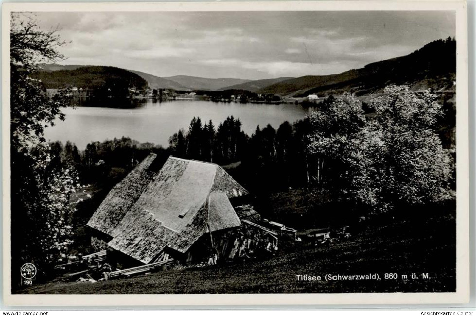 52249636 - Titisee Titisee-Neustadt