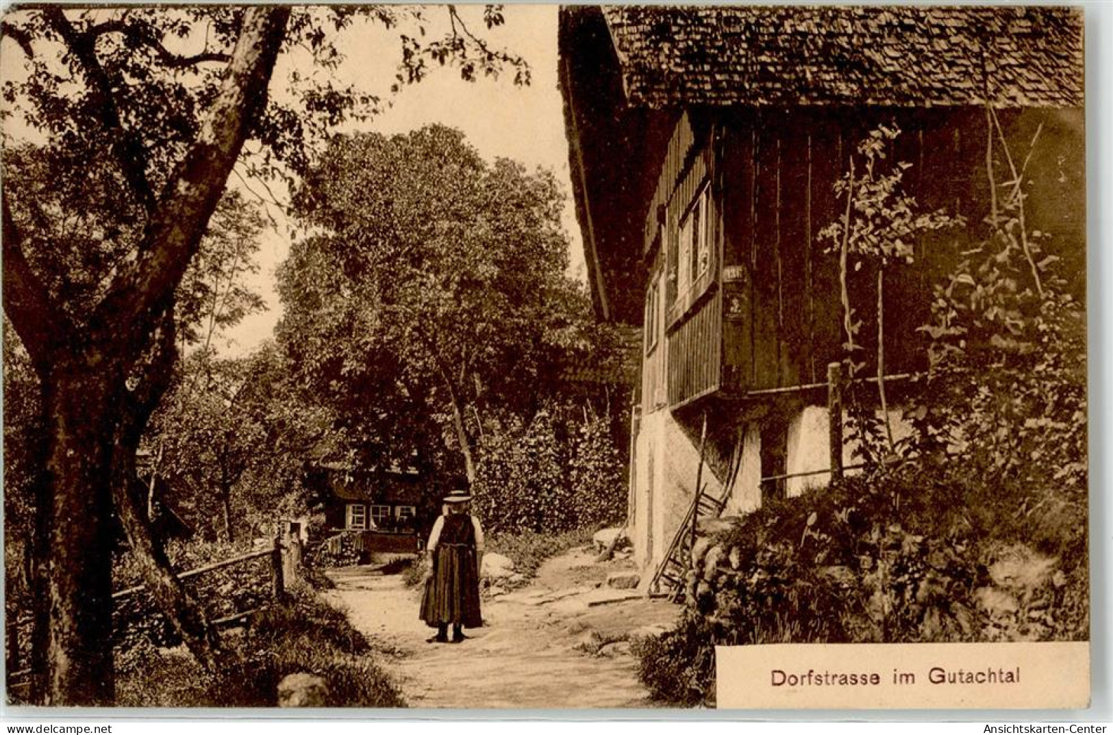 52250129 - Gutach Schwarzwaldbahn