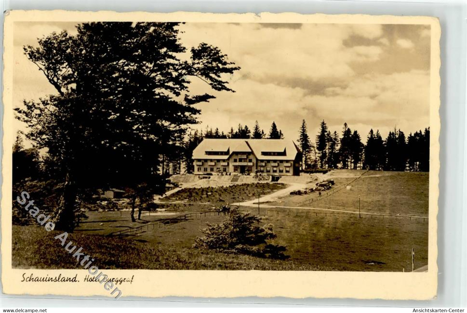 52253847 - Kirchzarten , Breisgau