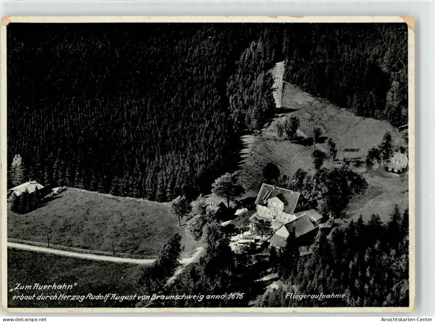 52254581 - Auerhahn , Oberharz