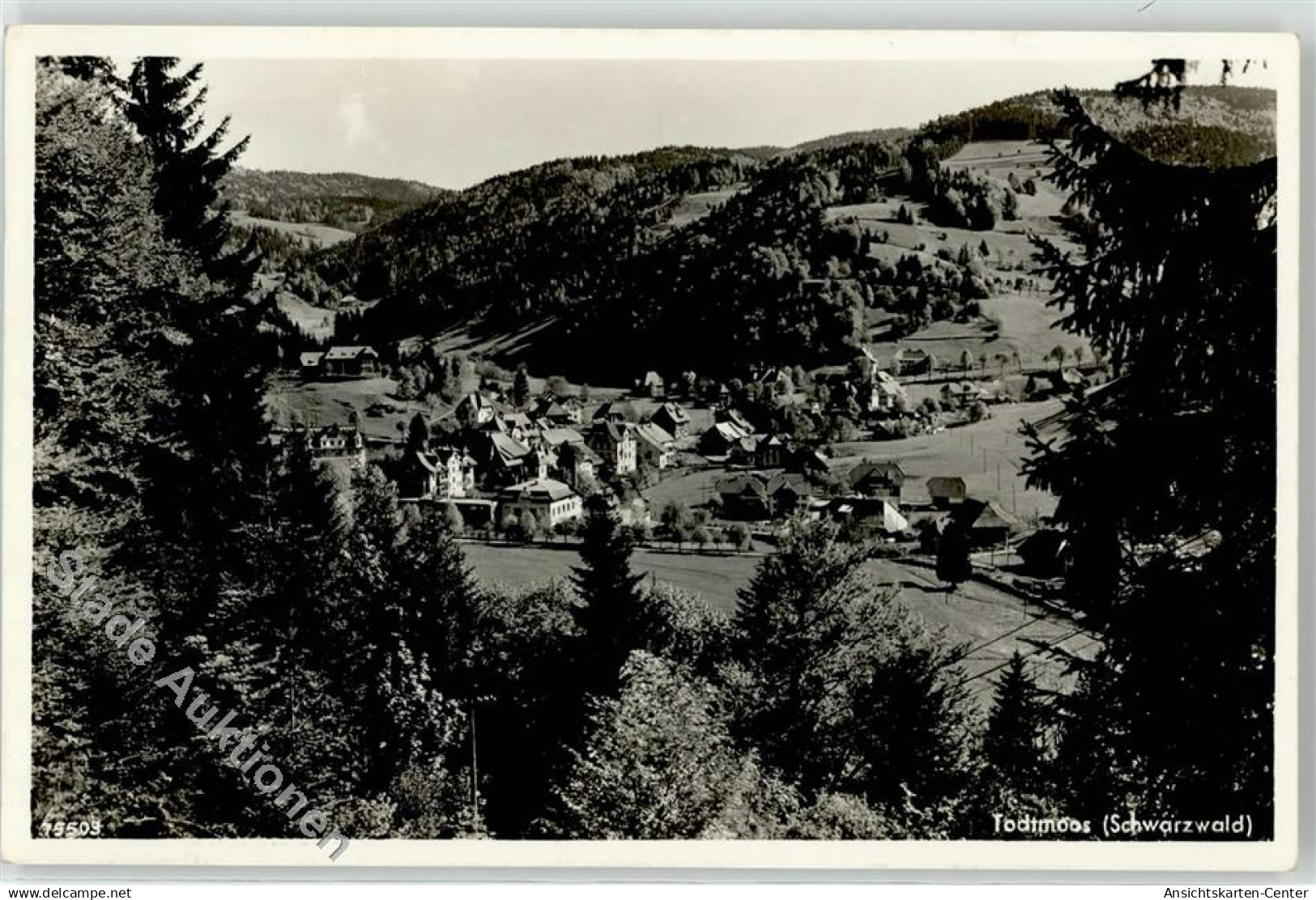52254845 - Todtmoos